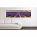 Obraz na plátne Panoráma, Levandule, 36x118cm Obraz na plátne Panoráma, Levandule, 36x118cm