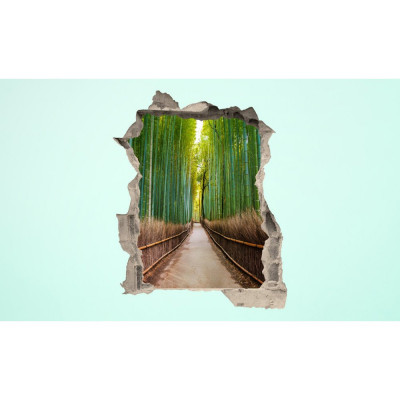 3D fototapeta, Bambusový les, 100 x120cm