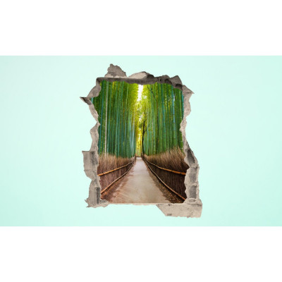 3D fototapeta, Bambusový les, 100 x120cm 3D fototapeta, Bambusový les, 100 x120cm