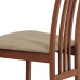 Jedálenská stolička Autronic BC-2482 TR3