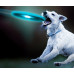 Viacfarebné LED frisbee InnovaGoods, 0873 Viacfarebné LED frisbee InnovaGoods, 0873