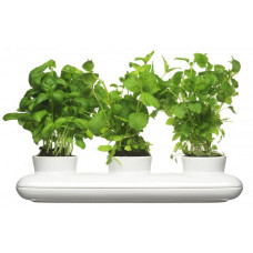 Kvetináč SAGAFORM Herb Trio 40cm