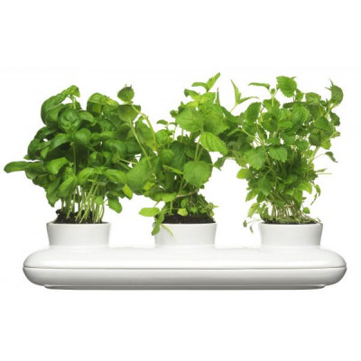 Kvetináč SAGAFORM Herb Trio 40cm Kvetináč SAGAFORM Herb Trio 40cm