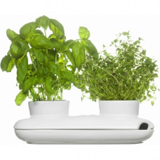 Kvetináč SAGAFORM Herb Duo Pot 27cm