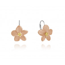 Rose Gold rozkvitnuté strieborné náušnice Minet Flowers Rose Gold rozkvitnuté strieborné náušnice Minet Flowers