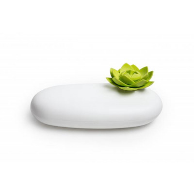Multifunkčné púzdro Qualy Lotus Pebble Box, biele-zelené Multifunkčné púzdro Qualy Lotus Pebble Box, biele-zelené
