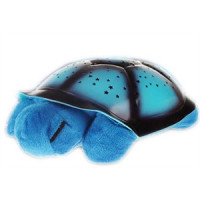 Nočná korytnačka modrá 2