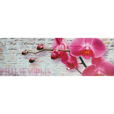 Obraz na plátne 30x90cm RUŽOVÁ ORCHIDEA ružovo-šedý Obraz na plátne 30x90cm RUŽOVÁ ORCHIDEA ružovo-šedý