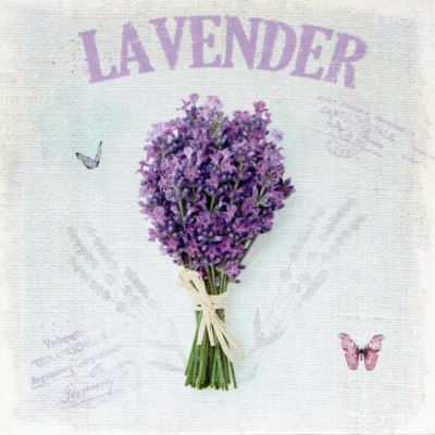 Obraz na plátne 28X28cm Levandula 5 Obraz na plátne 28X28cm Levandula 5