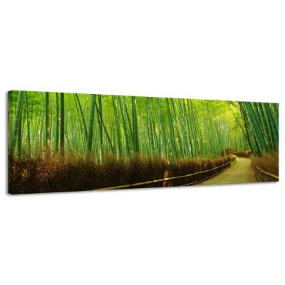 Obraz na plátne Panoráma, Bambus, 36x118cm