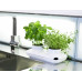 Kvetináč SAGAFORM Herb Duo Pot 27cm Kvetináč SAGAFORM Herb Duo Pot 27cm