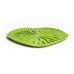 Odkapávač Qualy Baibua Tray, zelený Odkapávač Qualy Baibua Tray, zelený