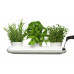 Kvetináč SAGAFORM Herb Trio 40cm Kvetináč SAGAFORM Herb Trio 40cm