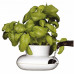 Kvetináč Sagaform Herb, malý 13cm Kvetináč Sagaform Herb, malý 13cm