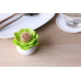 Stojanček na špáradlá Qualy Lotus Toothpick Holder, biely-zelený Stojanček na špáradlá Qualy Lotus Toothpick Holder, biely-zelený