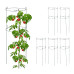 Sada kovových podpier pre rastliny Relaxdays RD44640 (6 ks, 76 cm) – tmavozelená Sada kovových podpier pre rastliny Relaxdays RD44640 (6 ks, 76 cm) – tmavozelená