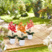 Záhradné spony na rastliny a paradajky Relaxdays RD10043536, 120 ks Záhradné spony na rastliny a paradajky Relaxdays RD10043536, 120 ks