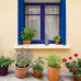 Krhla na izbové rastliny RD49412, 1L