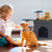 Skladací pelech a taburetka pre mačky Relaxdays RD38515 – šedý úkryt s vankúšom