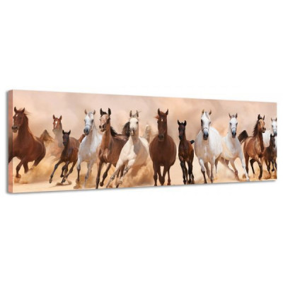 Obraz na plátne Panoráma, Kone, 36x118cm Obraz na plátne Panoráma, Kone, 36x118cm