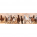Obraz na plátne Panoráma, Kone, 36x118cm Obraz na plátne Panoráma, Kone, 36x118cm