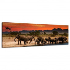 Obraz na plátne Panoráma, Slony, 36x118cm Obraz na plátne Panoráma, Slony, 36x118cm