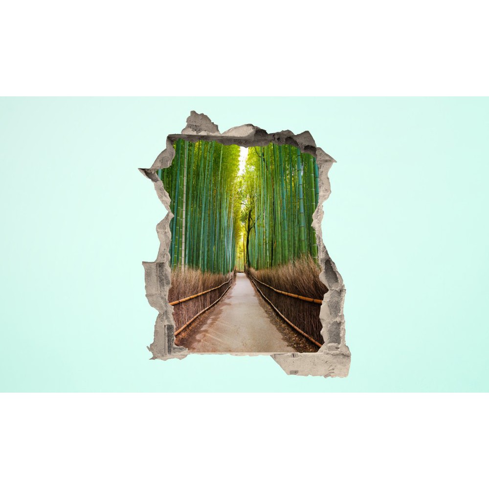 E-shop 3D fototapeta, Bambusový les, 100 x120cm