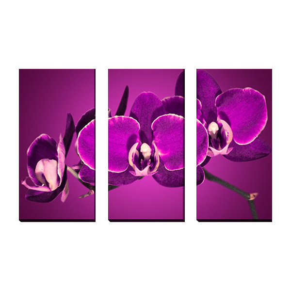 3-dielny obraz na plátne 3x30x70cm Kvet fialový 
