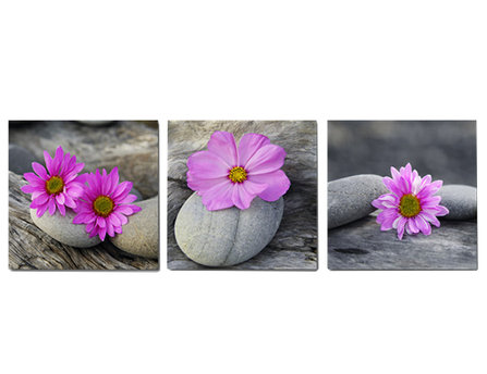 E-shop 3-dielny obraz na plátne 3x20x20cm Kamene a Kvety fialovo-šedý