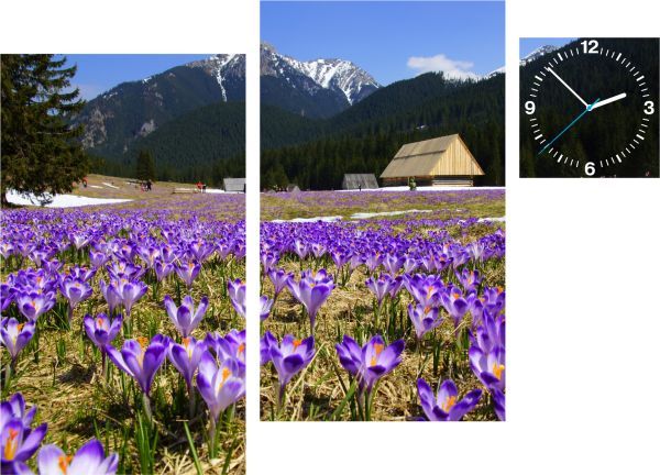E-shop 3-dielny obraz s hodinami, Irregular šafrán, 90x60cm