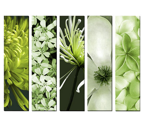 E-shop 5-dielny obraz na plátne 5x20x80cm Kvety zelený