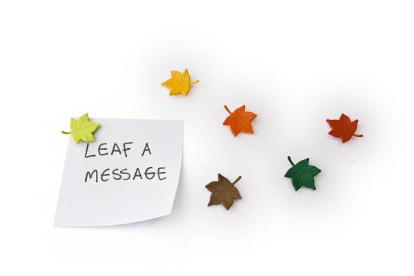 E-shop Magnety Qualy Leaf a Message