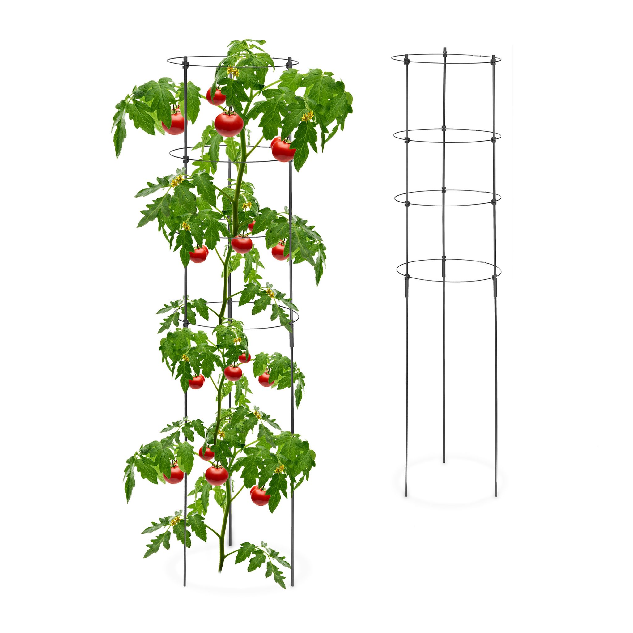 E-shop Podpera na rastliny 2ks 120cm, RD45123