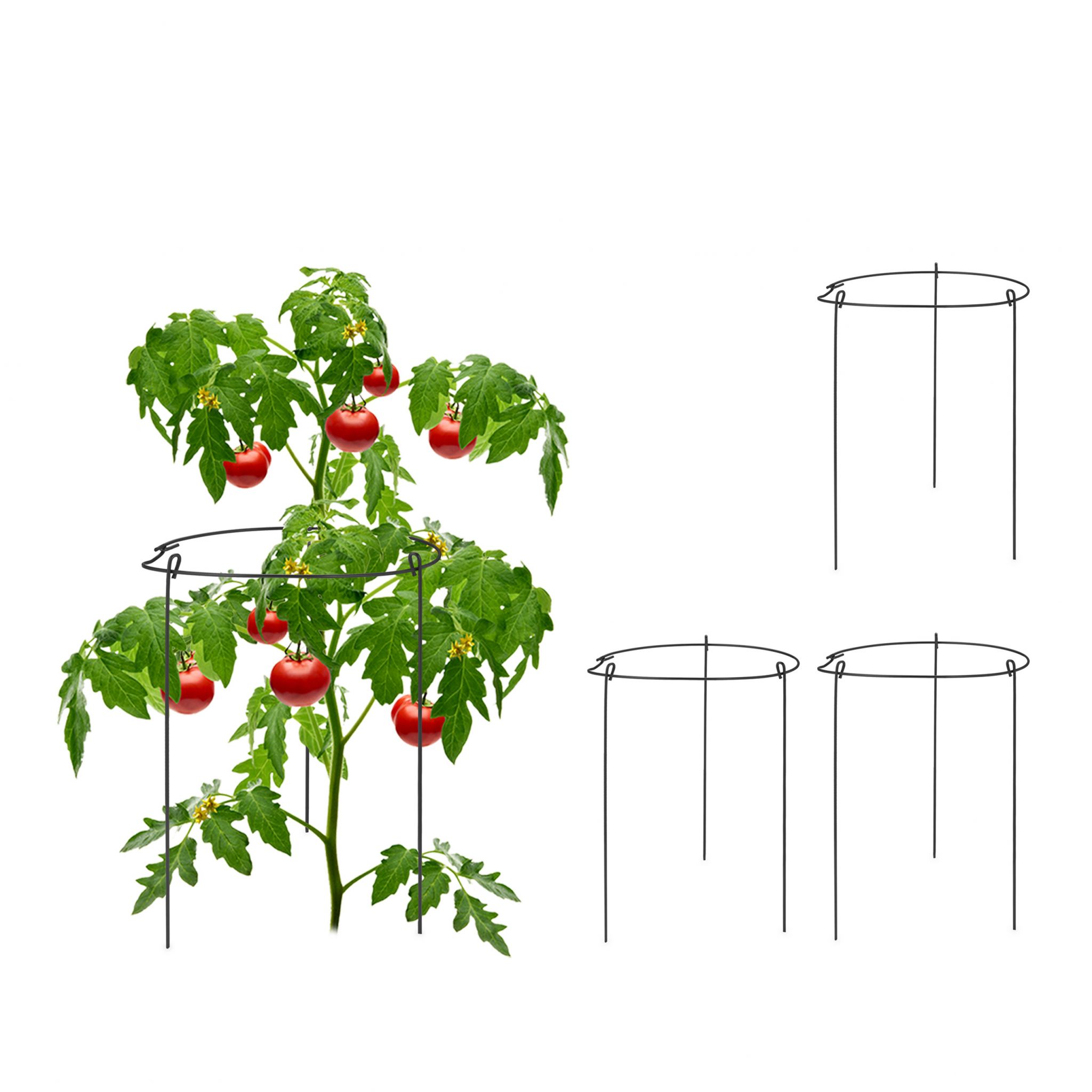 E-shop Podpera na rastliny 4ks 29cm, RD45111