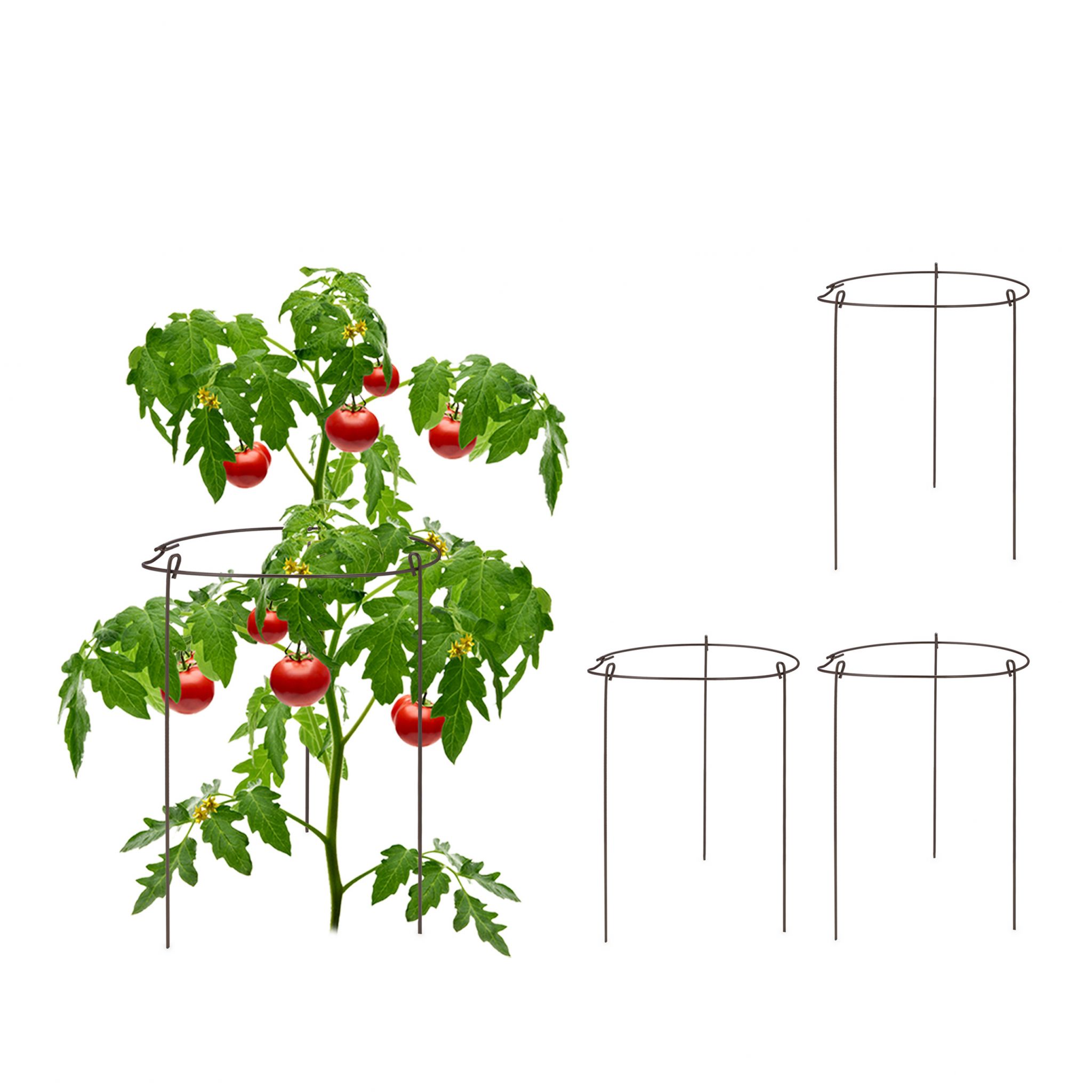 E-shop Podpera na rastliny 4ks 29cm, RD45112